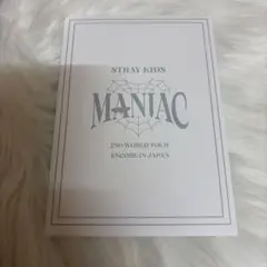 Straykids Felix ライブフォトトレカ　未開封