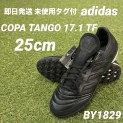 【即日発送 未使用タグ付】 コパ タンゴ17.1 TF 25cm 2026年最新】コパタンゴの人気アイテム - メルカリ