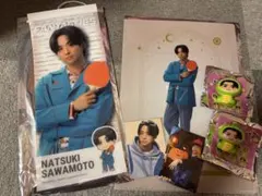 NATSUKI SAWAMOTO クリアファイルセット