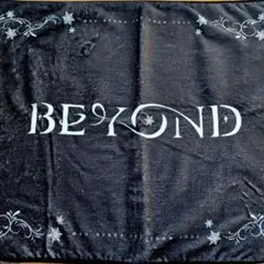 浅田真央 BEYOND ブランケットのサムネイル