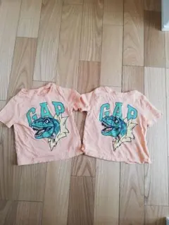 Item thumbnail for item 258c091f-e9b3-49b9-83ed-0e70b7b44bec