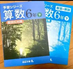 フ*リ様 四谷大塚　学校別予習シリーズ桜蔭コースフルセット　2024年2月1日受 フ*リ様 四谷大塚 学校別予習シリーズ桜蔭コースフルセット 2024