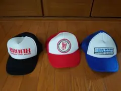 Item thumbnail for item 17af43e8-c7e9-4856-89d8-b0e8fec6a66c