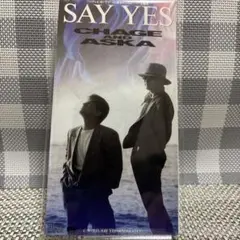 CHAGE&ASKA/セイ・イエス