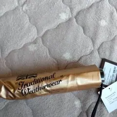 Item thumbnail for item acb584ad-57cd-40cf-b1a1-0aeb5c14d146