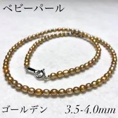 茶金◎テリ強 ゴールデン 本真珠 ベビーパール ネックレス 3.5-4.0 