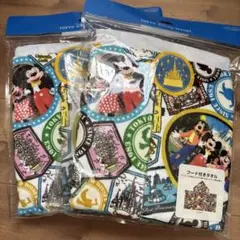 新品　東京ディズニーランド キャラクタータオル 2枚セット