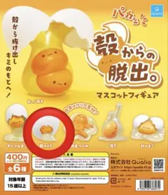 殻からの脱出。 殻のぞき