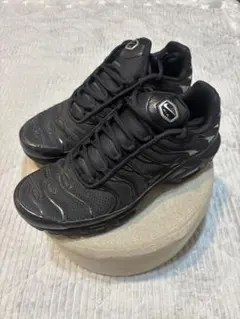 Nike Air Max Plus 