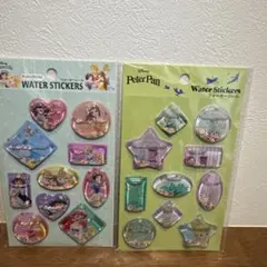 ディズニープリンセス➕ピーターパン　ウォーターシール　2枚