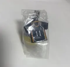 ハイキュー！！　MIKASA 月島蛍　ガチャガチャ