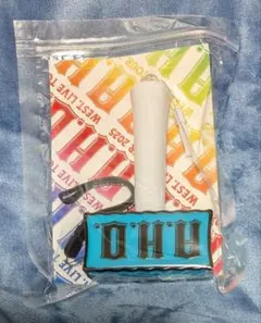 WEST.　ペンライト　A.H.O