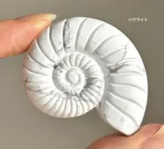 高品質　ハウライト　アンモナイト　天然石