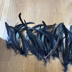 Item thumbnail for item 79a8ed9a-c876-4cbd-b148-c65c4d324538