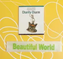 嵐　Beautiful World　チャリティーチャーム＆落下物リボン