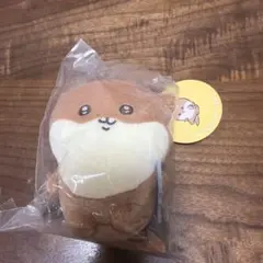ナガノのカワウソ ぬいぐるみくじ D賞