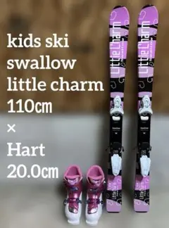 メンテ済 110cm 靴20cm CARVING 子供用スキーセット中古 メンテ済 110cm 靴20cm CARVING 子供用スキーセット中古 メンテ済