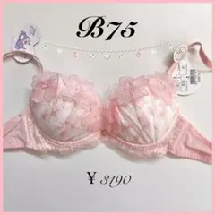 定価3190円【サニーブーケ】 B75 ブラジャー リリアージュココ SP