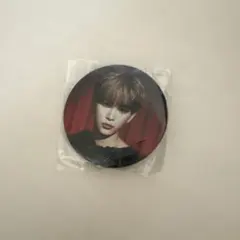 &team ハルア 缶バッジ