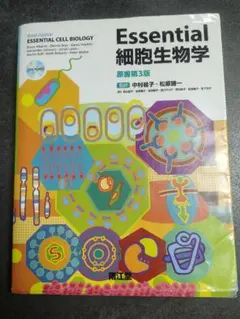 Item thumbnail for item bcedbf62-fc47-410d-b18f-397bcf344318