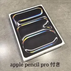 【美品】iPad Pro 13 M4 黒 512 ペン付き