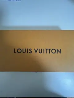 LOUIS VUITTON 箱