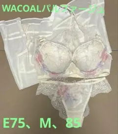 値引きします！WACOALパルファージュブラショーキャミset