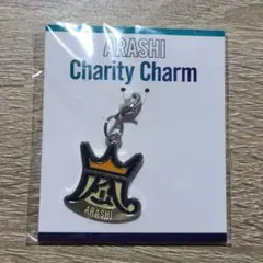 嵐 Beautiful World チャリティーチャーム