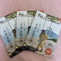 Item thumbnail for item cc64496c-cc2d-4be9-92b9-5fe345451fbf