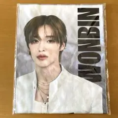 ウォンビン　スローガンタオル