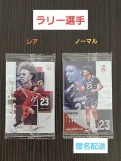 バレーボール日本代表 エバデダンラリー選手 カード2枚セット