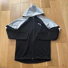 Item thumbnail for item 5e43c084-1b9b-40a8-a69f-99ab9c618240