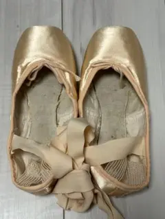 Item thumbnail for item eeb93015-d529-4fed-b53c-9d2356676319