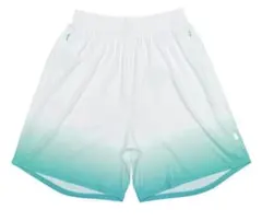 Item thumbnail for item 54c19515-983b-467e-b9fe-14e0debf0252