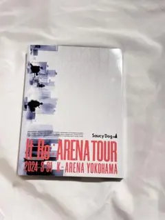 SaucyDog It:Re ARENA TOUR 2024 - メルカリ