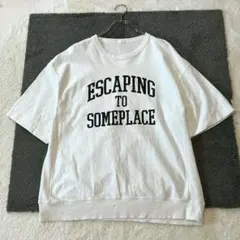 ✨【ジーユー】L 白 Tシャツ コットン カジュアル ラウンドネック 男女兼用