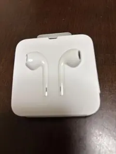 Apple EarPods with Lightning Connector