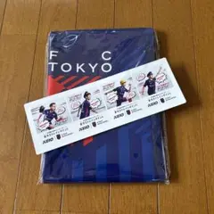 【非売品】FC東京 レジャーシート 限定ステッカー付き