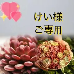 けい様　ご専用