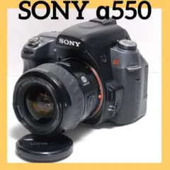 ✨お手軽に一眼レフを始めよう✨SONY α550✨ シングルレンズ✨簡単操作✨