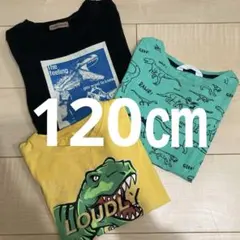 120㎝恐竜デザインTシャツ3枚セット