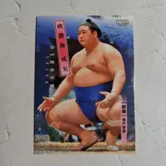 Item thumbnail for item 85fea081-bb3f-4b53-936a-fd70304f36ee