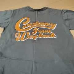 Item thumbnail for item ea47442b-57da-40f8-942a-881d206b67d0