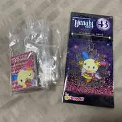 サンリオ ウサハナ 2点セット