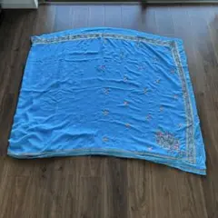 スパンコール　ジョーゼット　インドサリー