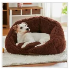 Item thumbnail for item 62ca146e-aaec-43b6-936a-3e6a775b90d5