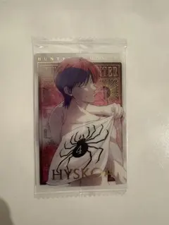 HUNTER×HUNTER ヒソカ　sp イタジャガ