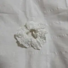 Item thumbnail for item ff697dd6-4efc-4eba-bc74-8fff25fcdd07