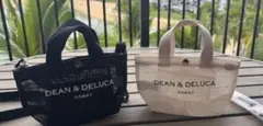 (新品未使用タグ付き)ハワイDEEN&DELUCAメッシュポーチ白黒2点セット