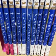 2026年最新】サレタガワのブルー 全巻の人気アイテム - メルカリ